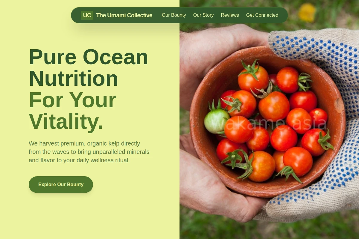 Kelp Organic Food