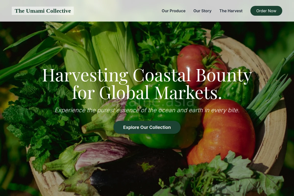 Cuisine Organic Food