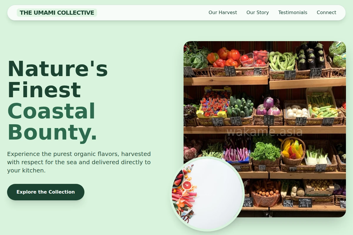 Azure Organic Food
